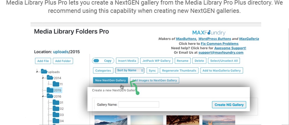 NextGen gallery Button